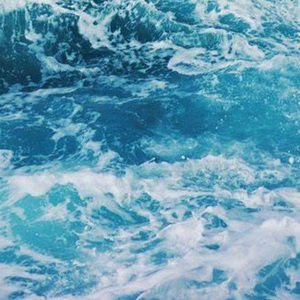 Meet your Posher, Claire